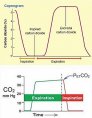 How do we measure the ETCO2