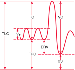  Subdivisions of total lung capacity: TLC, total lung capacity; V, tidal volume; IC, inspiratory capacity; FRC, functional residual capacity; ERV, expiratory reserve volume; VC, vital capacity; RV, residual volume.