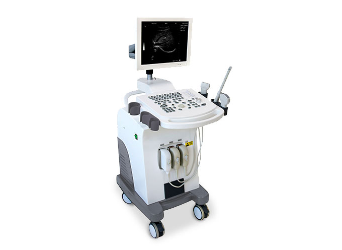 digital imaging Ultrasound Scanne