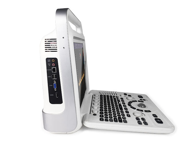 Dolphi® C - 2