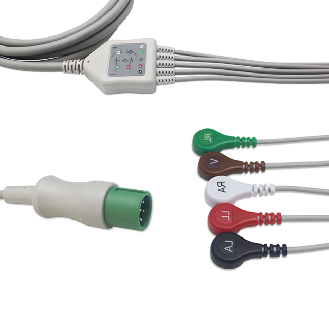 ECG-5L.908s/v2 - 1