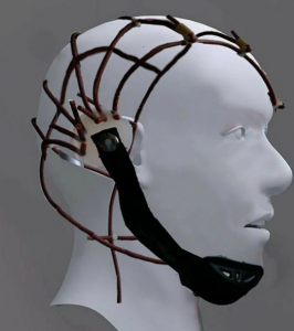 EEG Cap